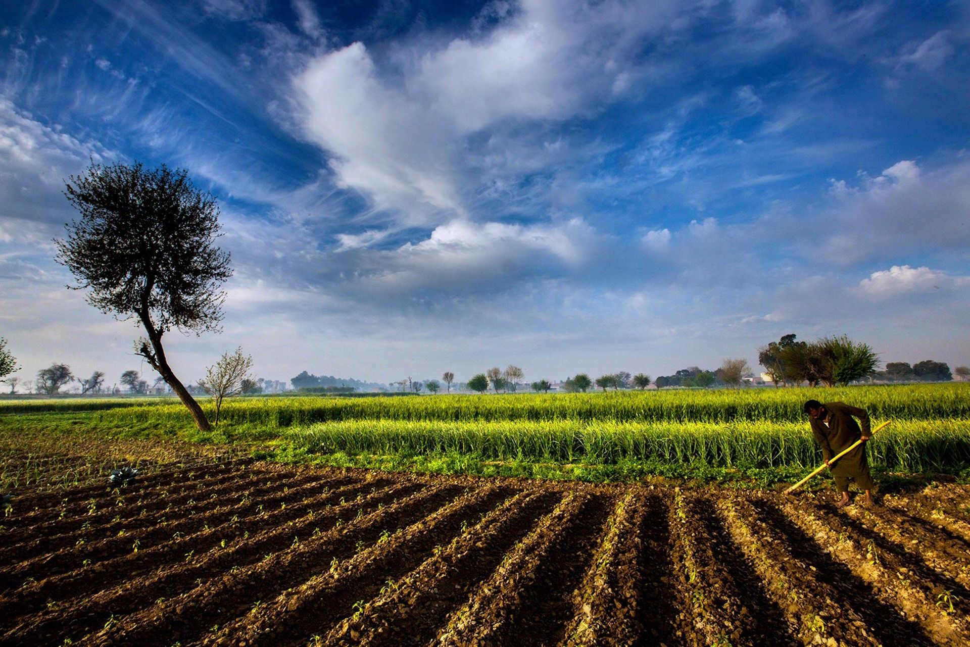 Farmland under a wide blue sky