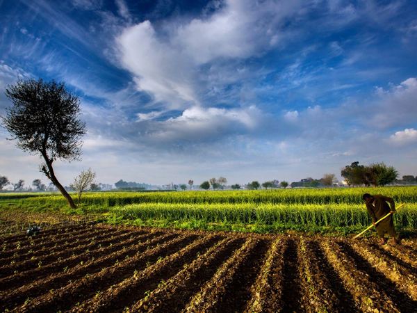 Farmland