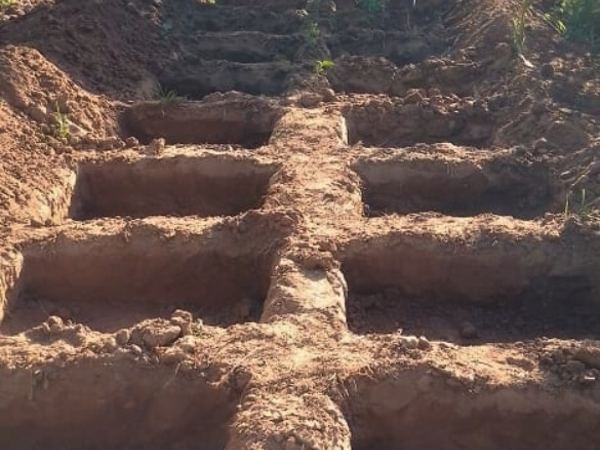 Zai pits dug and ready for manure and planting.